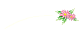 きくぐみ