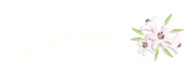 ゆりぐみ