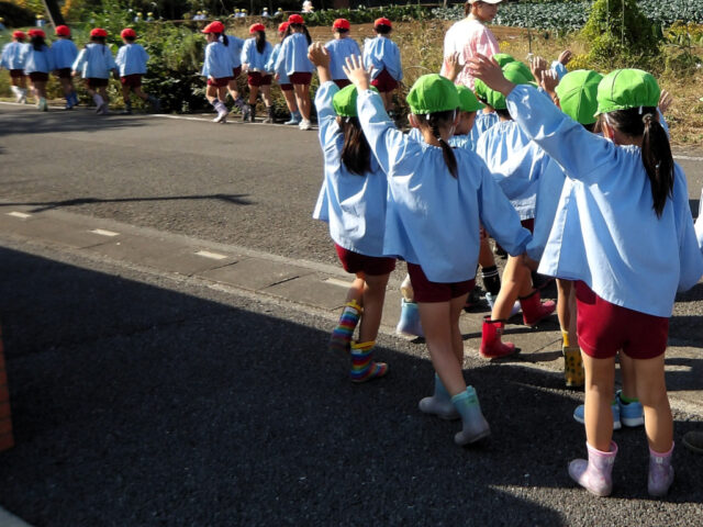 さつまいも掘り